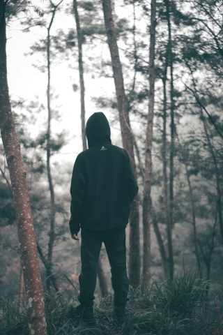 Black Hoodie Alone in Forest  mobile wallpaper