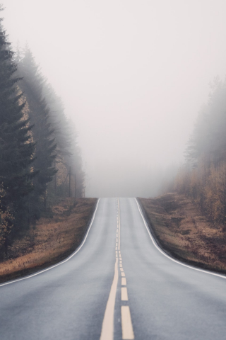 Foggy Road in Forest  mobile wallpaper